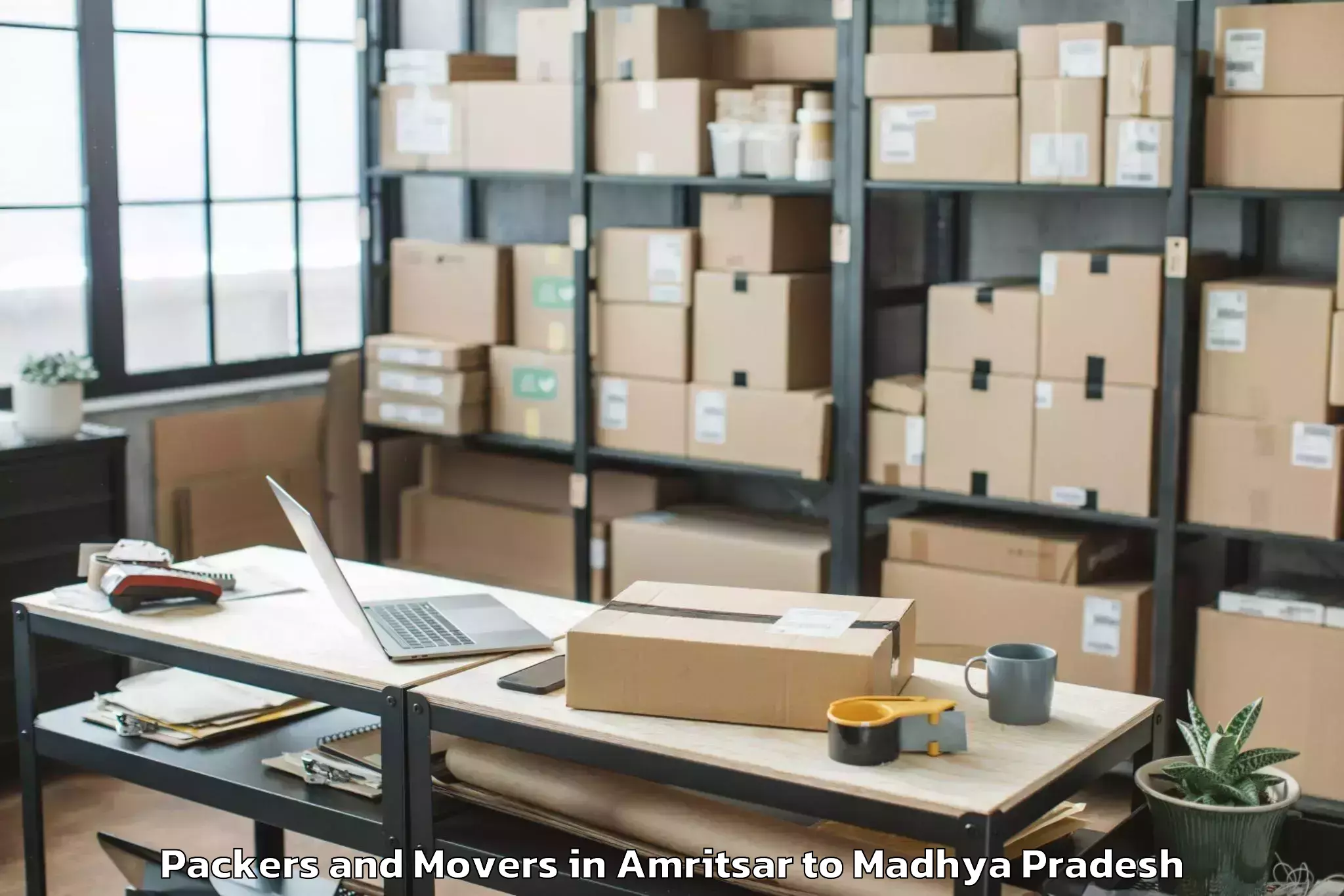 Reliable Amritsar to Lnct University Bhopal Packers And Movers